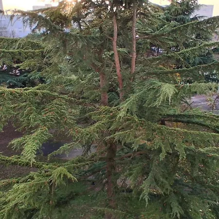 Large Entire Near Paris Creil