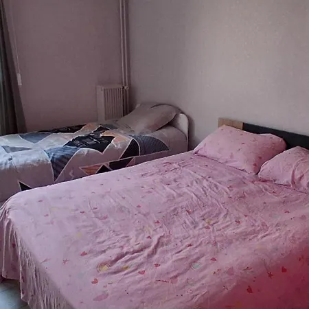 Large Entire Near Paris Appartement